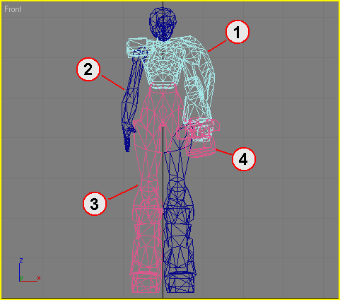 Иллюстрированный самоучитель по анимации персонажей в 3D Studio Max › Созданы, чтобы двигаться › Моделирование: функция. Схема модели.