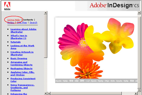 Иллюстрированный самоучитель по Adobe InDesign CS2 › Рабочее пространство программы InDesign › Использование интерактивной справки
