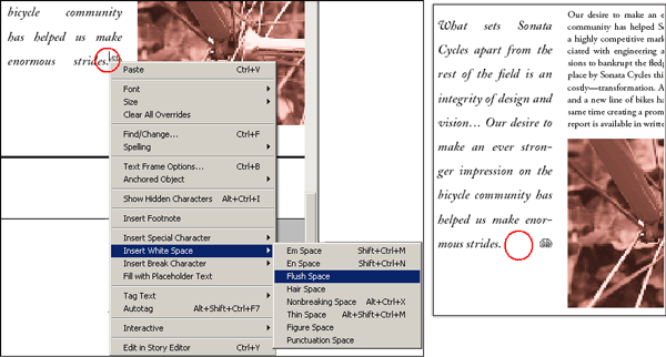 Иллюстрированный самоучитель по Adobe InDesign CS2 › Работа с текстом › Добавление декоративного шрифта и специального символа