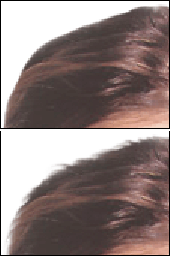 Иллюстрированный самоучитель по Adobe Photoshop CS › Лица и фигуры › Удаление волос