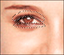 Иллюстрированный самоучитель по Adobe Photoshop CS › Лица и фигуры › Придание выразительности глазам