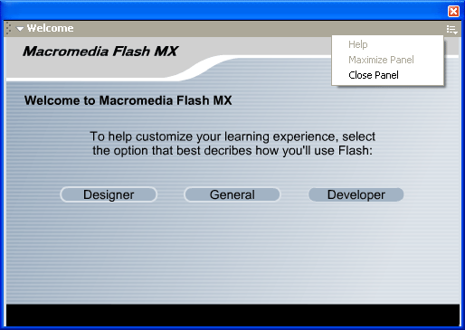 Иллюстрированный самоучитель по Macromedia Flash MX › Новые возможности Flash › Изменение формата панелей