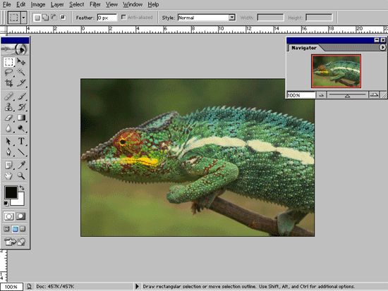 Иллюстрированный самоучитель по Adobe Photoshop 7 › Начало работы › Изменение режима показа изображений на экране