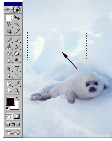 Иллюстрированный самоучитель по Adobe Photoshop 7 › Выделение › Выделение узкой полосы вокруг выделенной области