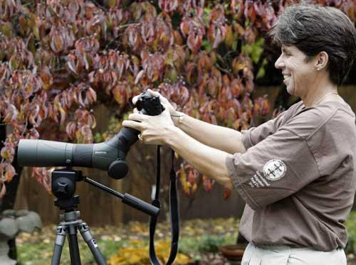 Иллюстрированный самоучитель по съемке цифровым фотоаппаратом › Фотографирование природы › Фотографирование птиц с использованием телескопа