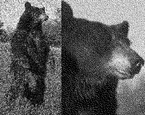 Иллюстрированный самоучитель по Web-графике › Цвет › Изображения в оттенках серого цвета. Изображения в режиме Bitmap.