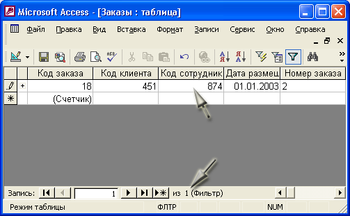 Иллюстрированный самоучитель по Microsoft Access 2002 › Работа с таблицами › Фильтрация данных