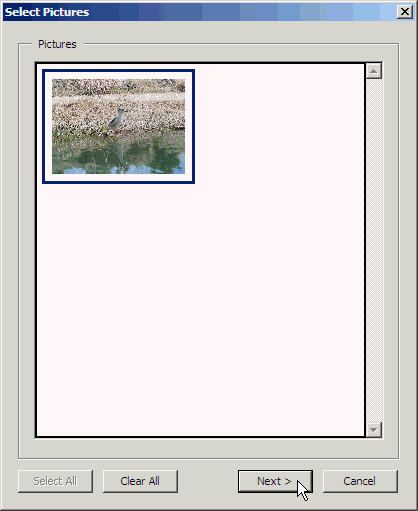 Иллюстрированный самоучитель по Adobe Acrobat 6 › Работа с рисунками и изображениями › Редактирование и печать с помощью модуля Picture Tasks
