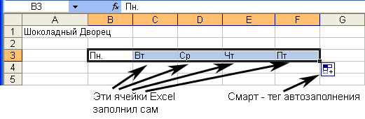 Иллюстрированный самоучитель по Microsoft Excel 2003 › Составление таблицы › Как вводить данные автоматически