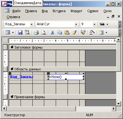 Иллюстрированный самоучитель по Microsoft Office 2003 › Создание и использование форм в Access 2003 › Применение в форме полей различных типов
