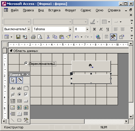 Иллюстрированный самоучитель по Microsoft Office XP › Формы и отчеты › Конструктор форм