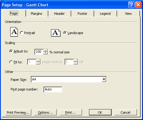 Иллюстрированный самоучитель по Microsoft Project 2003 › Дополнительные окна › Окно Page Setup
