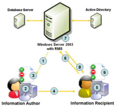Иллюстрированный самоучитель по настройке Office 2003 › Защита информации в Microsoft Office 2003 с помощью служб RMS и IRM › Принцип работы RMS/IRM