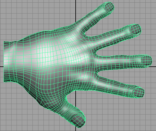 Иллюстрированный самоучитель по Maya 6 › Дополнительные техники анимации › Моделирование руки
