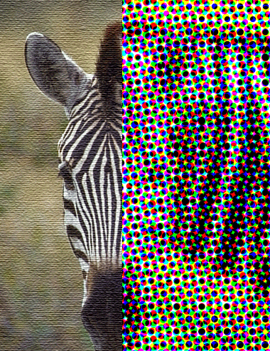 Иллюстрированный самоучитель по Adobe Illustrator 10 › Работа с пиксельными изображениями › Фильтры группы Pixelate. Фильтр Color Halftone.