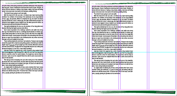 Иллюстрированный самоучитель по Adobe InDesign CS2 › Импортирование и редактирование текста › Изменение числа колонок на странице