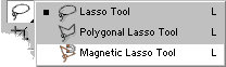 Иллюстрированный самоучитель по Adobe Photoshop CS2 › Выделение › Выделение области произвольной формы: группа инструментов Lasso