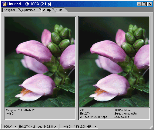 Иллюстрированный самоучитель по Adobe Photoshop 7 › Работа с Web и программирование Imageready › Оптимизация изображений в формате GIF и PNG-8