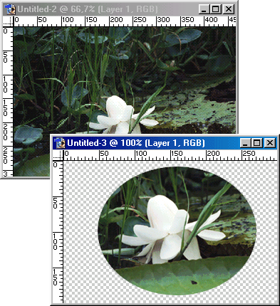 Иллюстрированный самоучитель по Adobe Photoshop 7 › Компоновка › Перетаскивание выделенной области между изображениями