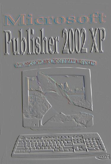 Иллюстрированный самоучитель по Microsoft Publisher › Приложение. Средства Microsoft Office 2002 XP.