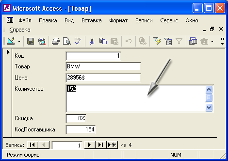 Иллюстрированный самоучитель по Microsoft Access 2002 › Создание форм для ввода данных › Режим Формы