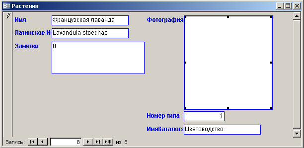 Иллюстрированный самоучитель по Microsoft Access 2003 › Создание и использование форм данных