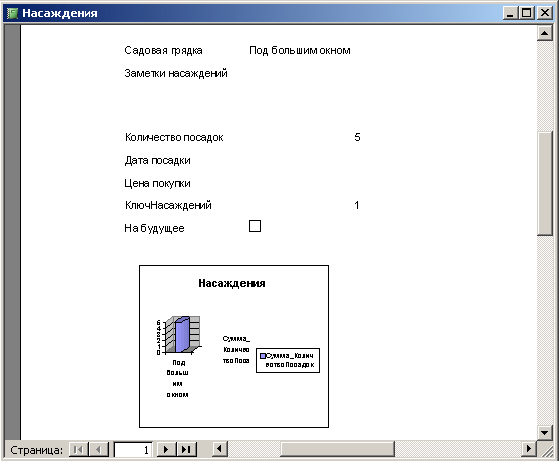 Иллюстрированный самоучитель по Microsoft Access 2003 › Настройка отчетов