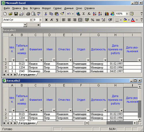 Иллюстрированный самоучитель по Microsoft Excel 2002 › Создание табличной базы данных сотрудников › Работа с окнами
