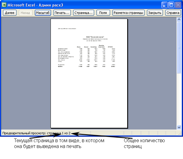 Иллюстрированный самоучитель по Microsoft Excel 2003 › Печать › Как просмотреть таблицу перед печатью