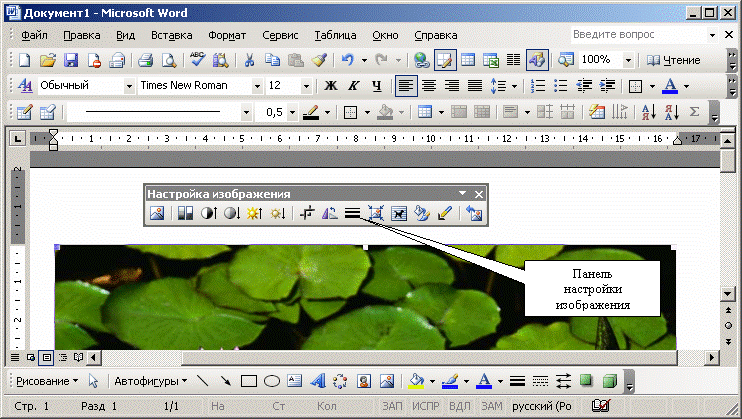 Иллюстрированный самоучитель по Microsoft Word › Работа с графикой в Microsoft Word › Просмотр графических изображений