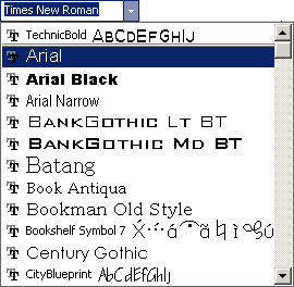 Иллюстрированный самоучитель по Microsoft Word 2003 › Форматирование символов, шрифтов и текста › Как изменять шрифт