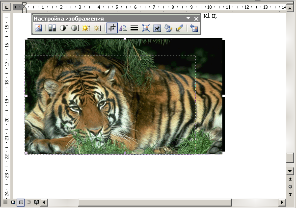 Иллюстрированный самоучитель по Microsoft Word 2003 › Рисунки и картинки › Что можно сделать с изображением