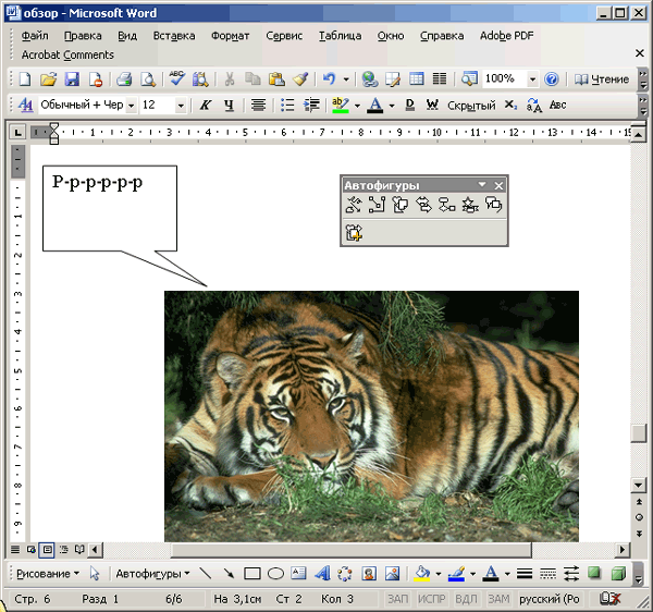 Иллюстрированный самоучитель по Microsoft Word 2003 › Вставка объектов › Подробнее о вставке. Вставка автофигур.