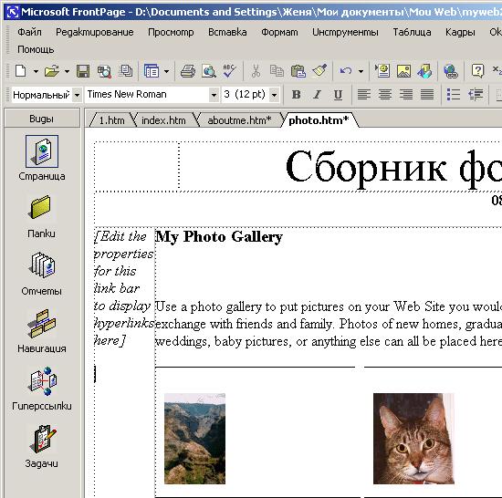 Иллюстрированный самоучитель по Microsoft FrontPage 2002 › Создание Web-узла с помощью мастеров и шаблонов › Шаблон Коллекция фотографий
